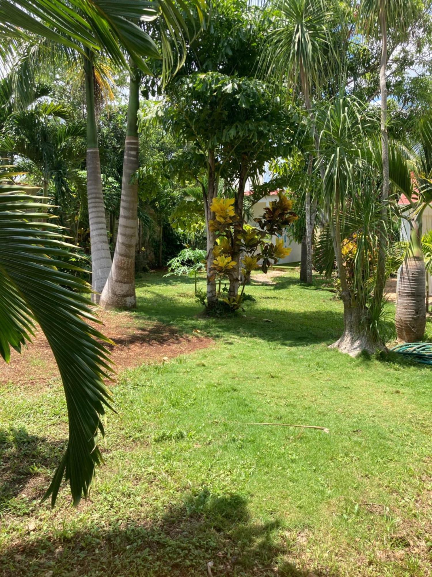Green Paradise Leona Vicario Esterno foto