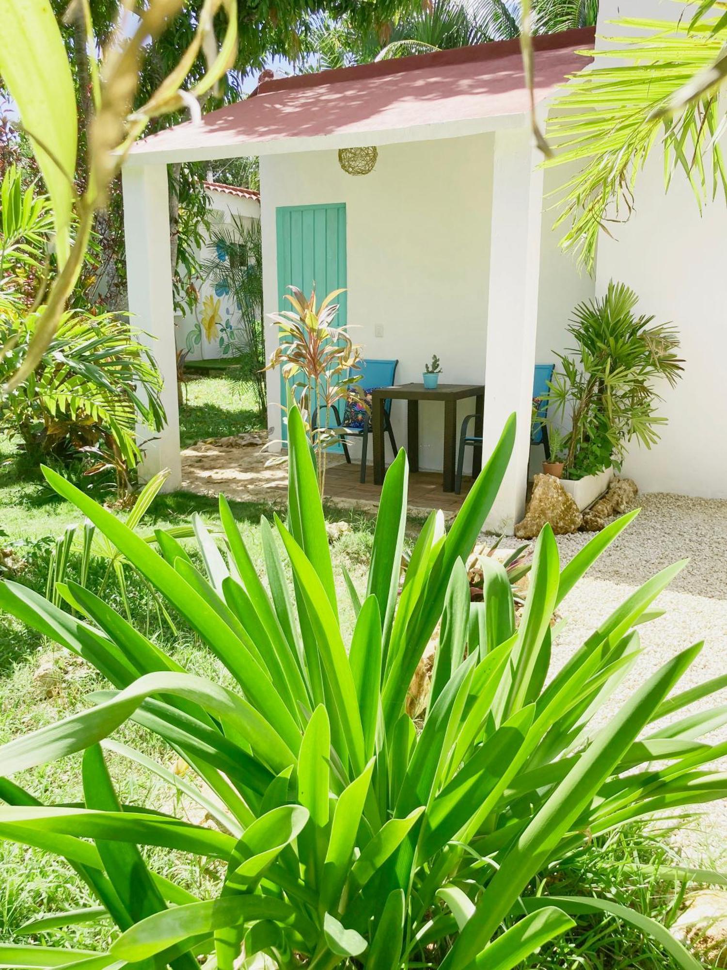 Green Paradise Leona Vicario Esterno foto