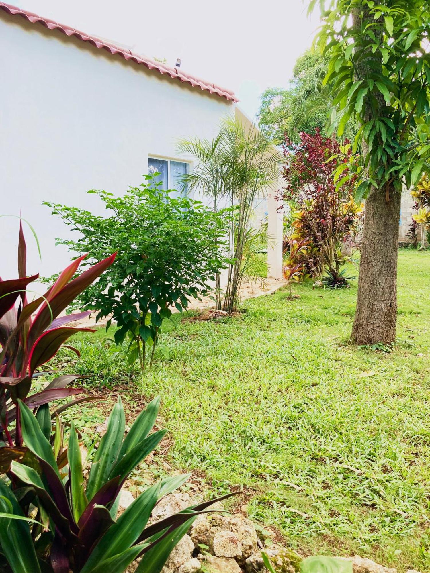 Green Paradise Leona Vicario Esterno foto