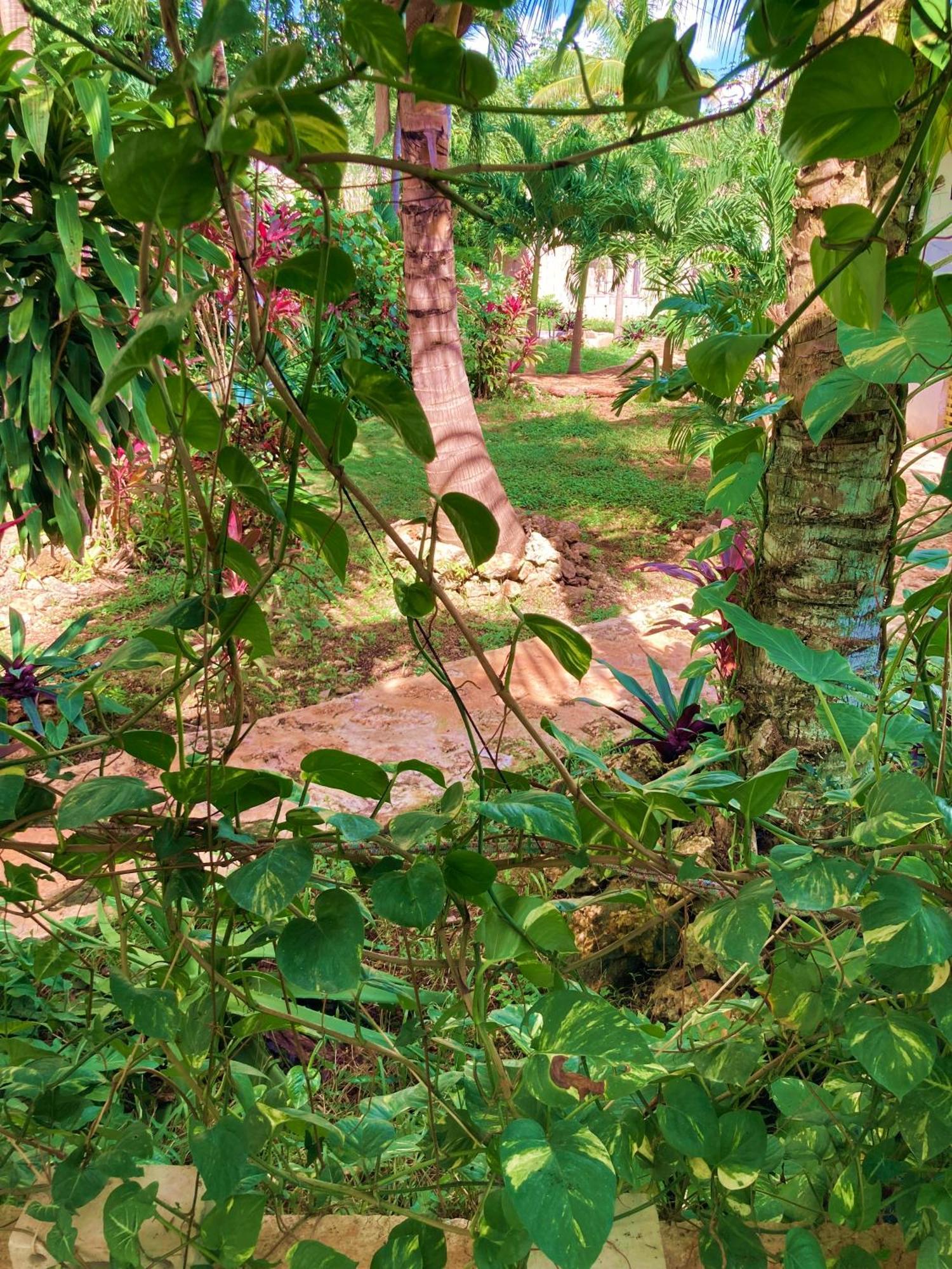 Green Paradise Leona Vicario Esterno foto